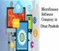 Microfinance Software Company in Uttar Pradesh